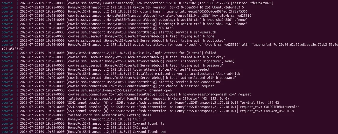 Logs de la session SSH sur Cowrie