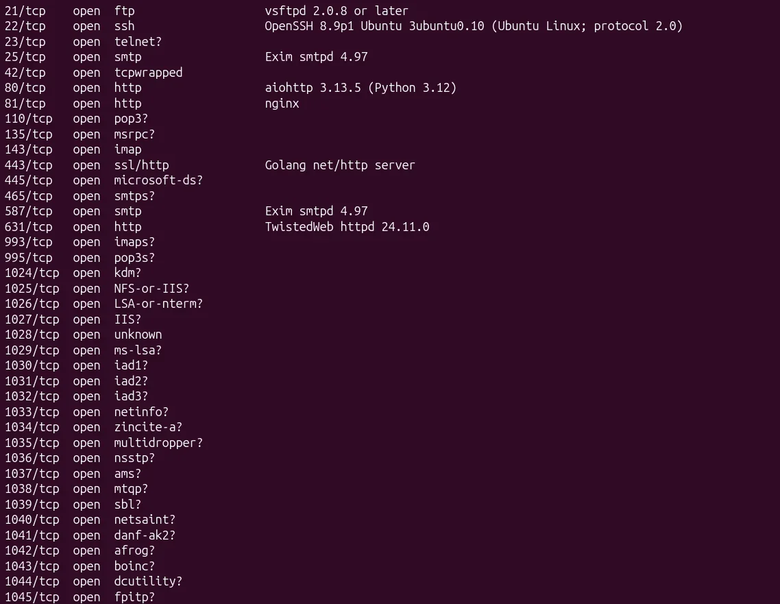 Résultat du scan nmap sur la VM T-Pot